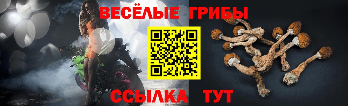 Псилоцибиновые грибы GOLDEN TEACHER Вологда